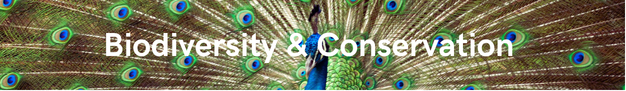 biodiversity