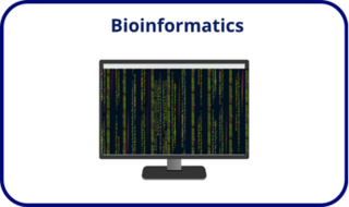 bioinf