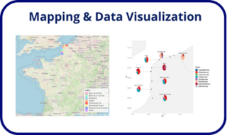 visualisation