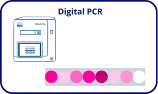 dPCR