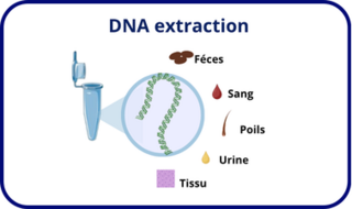 extraction