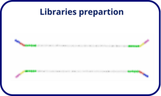 librairy prep