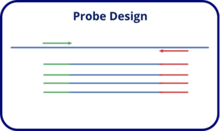 probe