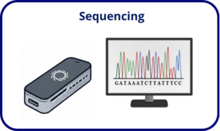 sequencing