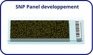 snpPanel