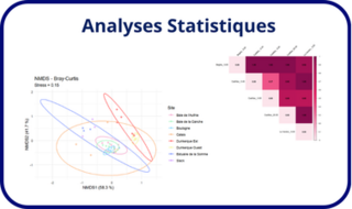 stat